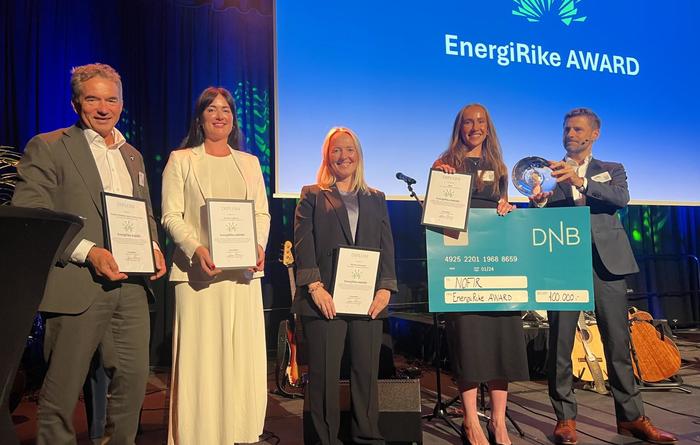 Hvem fortjener å bli vinner av EnergiRike AWARD 2026?